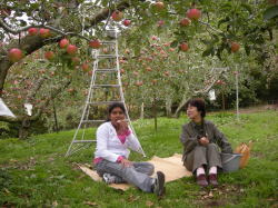 �X�������J�ɂ͂���ȉ��������S������`�I�I