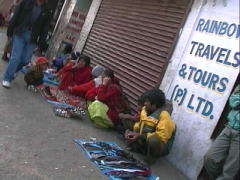 �H��̂P�u�u���[�V�|�g���X�i�C���Ȃǁj