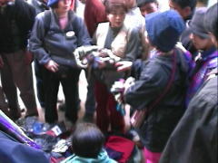 ����ׂ��I�I���{�l�I�o�^���A���i�T�l�Ŏ�ܔ����Ēl�؂�|�����B