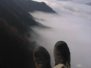 �_�C�̘Q�ōہI