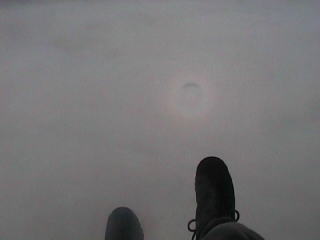 �u���b�P�����ہI�L���m�s�[���Ɠ��ւ��E�E�E