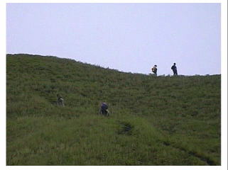 �q�C�`�q�C�`�n�A�`�n�A�`