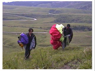 �Ԃ���тŏオ���Ă���̂��A����ǂ��ȁ`