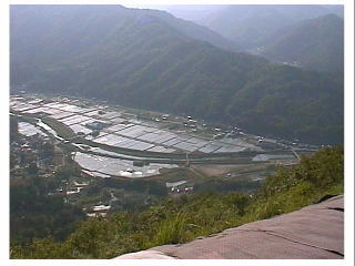 ���c�ɐ��������Ă��܂����̂ŃN���J�����K���a��