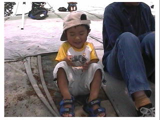 ���ނ��с@�������