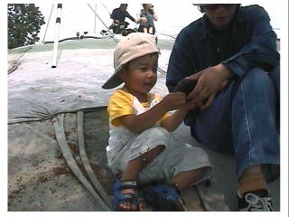 �u�͂��v�@�u���񂪂Ɓv