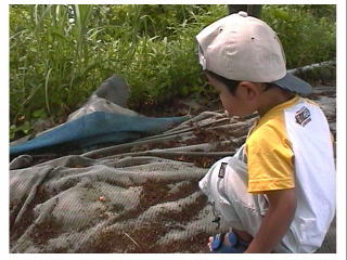 ���I�����ނ�