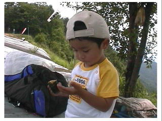 �Ӂ`��@�܂�܂������`