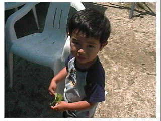 �����������I���傤�������́H