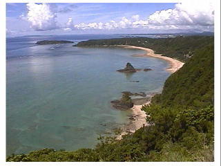 �×z�̃��[�t