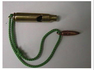 �l�P�U���C�t���e