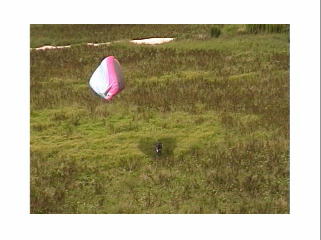 �����ƃL���m�s�[���ɁI