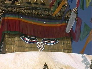 �X�������u�i�[�g���@�̕����̖ڋ�