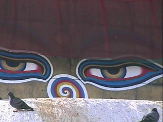 ��������ƁA�����ʂ��̘Ŋ�