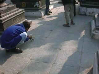 �̉��������a�ʁi�����l�b�`���j