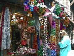 ���蕨���i�N���X�}�X�H�������H�p�j