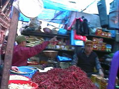 ���h�����i���N�X���Ƃ��₶�j