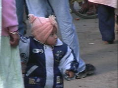 �^�[�o�����ю��X�q�̃C���h�n�̖V��