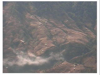 �J�g�}���Y���ӂ̒i�i��