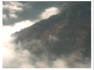 �R�x�n��̒i�i��