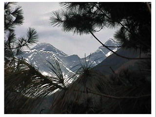 �o��n�߂Č���A���߂ẴT�K���}�[�^�i�����j