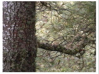 �t���ς͌��\�ׂ��������B