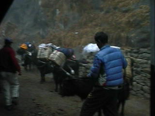 ���U�̓����˂��Ȃ����E�E�E�����`�o��