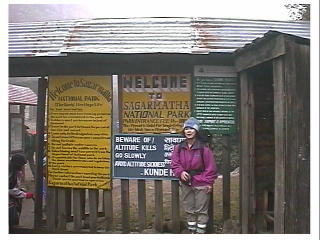 �T�K���}�[�^���������֏��B�����葱���₨�����x����