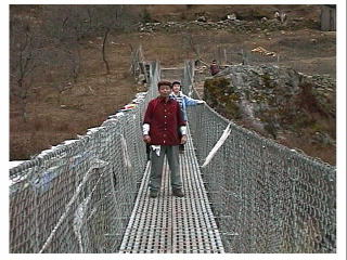 �ߑ�I�ȃX�`�[����