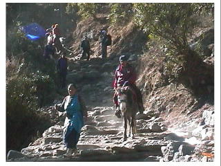 �n�^�N�V�[�̎O�l