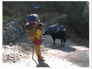 ���n�̉ז��̐l�B�s���̏���Ẳ��ɓ��Ĉ�x��