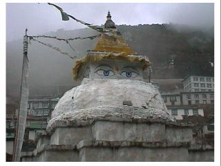 �i���`�F�o�U�[���̃X�c�[�p�i�����j