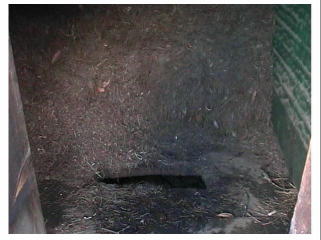 ���ߑ�I�G�R���W�[�g�C���i�����̌��ɏ��t���R�荞�ށj