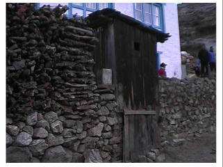 ���ߑ�I�G�R���W�[�g�C���̗����i��������͔��~���o���j