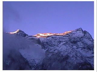 ���������������������Ă��ꂽ�I