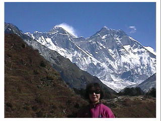 �T�K���}�[�^��w�i��