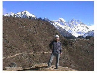 �T�K���}�[�^��w�i��