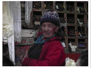 �����̂��₵���Ȕk����