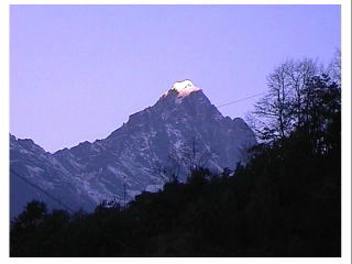 �ŏ��͎R�������|�`�b�ƈ��F��