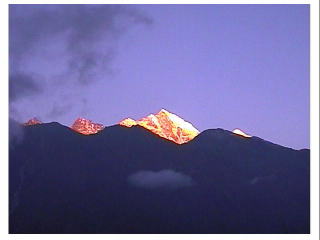 ���z�̂�����R���͈�ʈ��F�ɐ��܂�B