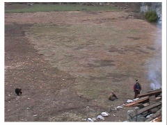 �傫�ȃW���K�C����