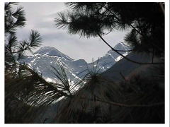 �J�Ԃ��猩����T�K���}�[�^