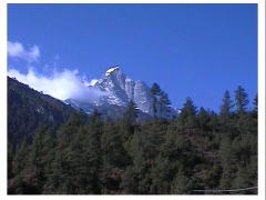 ���{�ł���ΕS���R�̈�ł��낤�ɁI�I