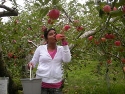 ���������S�Ɂh�`���b�I�h