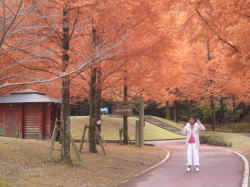 �u���킟�`�����������ꂢ�I�I�I�v