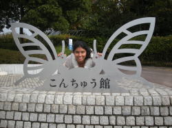 �u���͒��̐���I�v