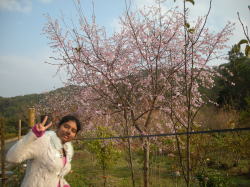 �u���̋G�߂ɍ��������Ă�Ȃ�āI�I�I�v