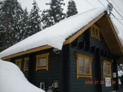 �u�����`�I�I���Ƃ��̍��݂����I�I�I�v