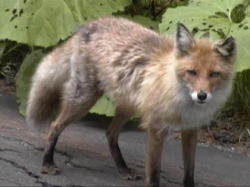 �ς͂����Ɋ���Ă���