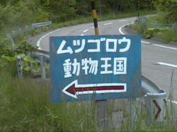 �����͖ŖS�̗J���ڂɁE�E�E